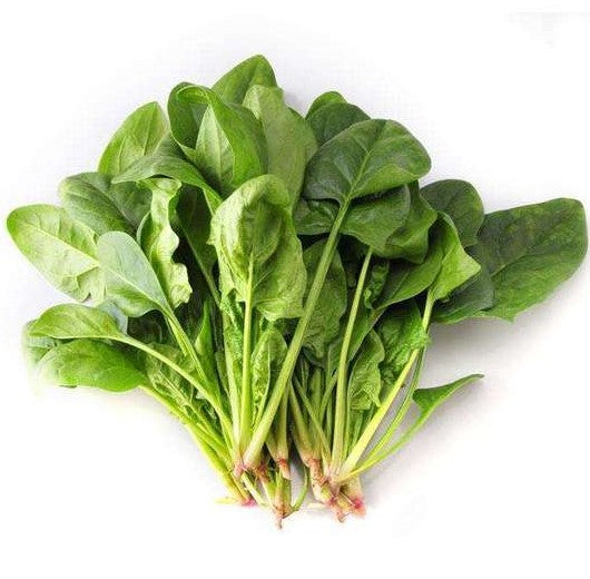 SPINACH 1 BUNCH