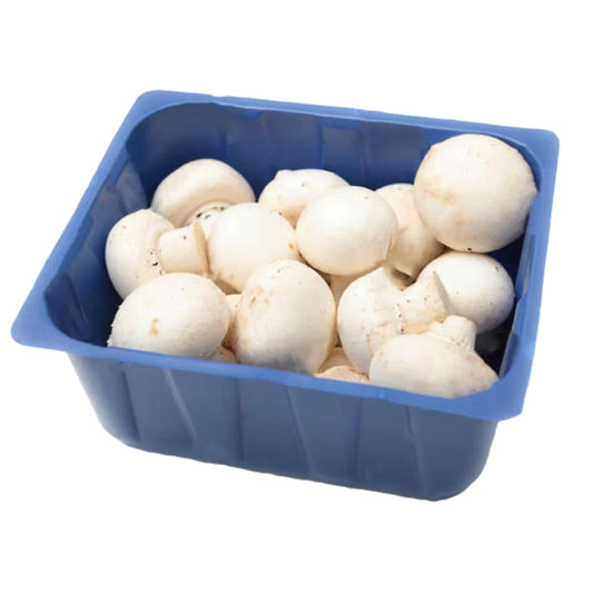 BUTTON MUSHROOM 1 PACK