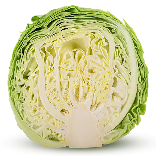 GREEN CABBAGE HALF