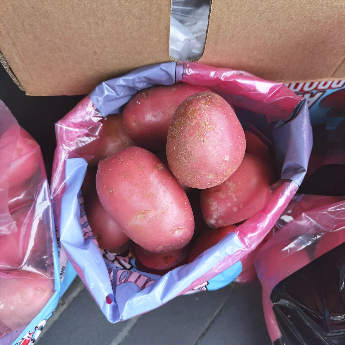 RED Washed POTATO  BAG 5kg