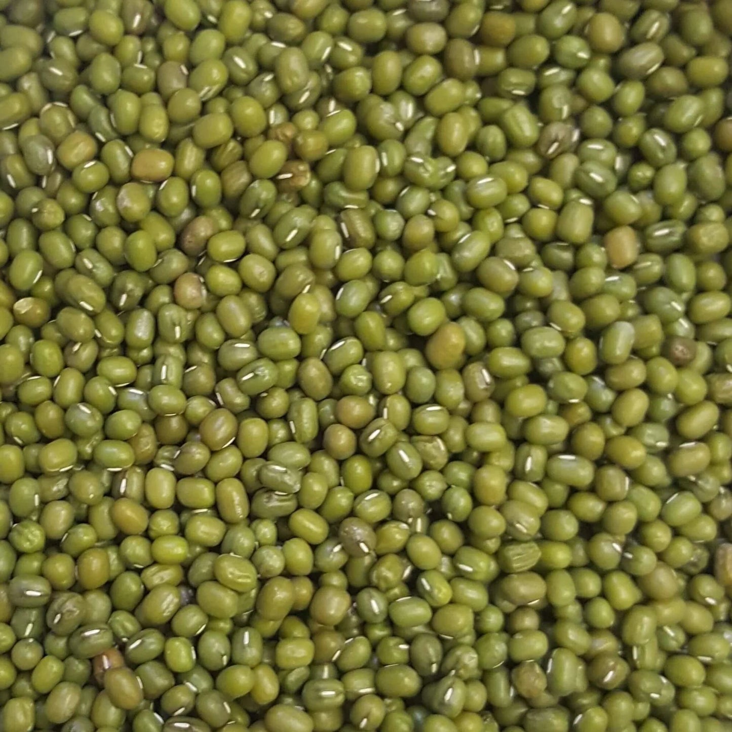 MUNG BEANS 5kg