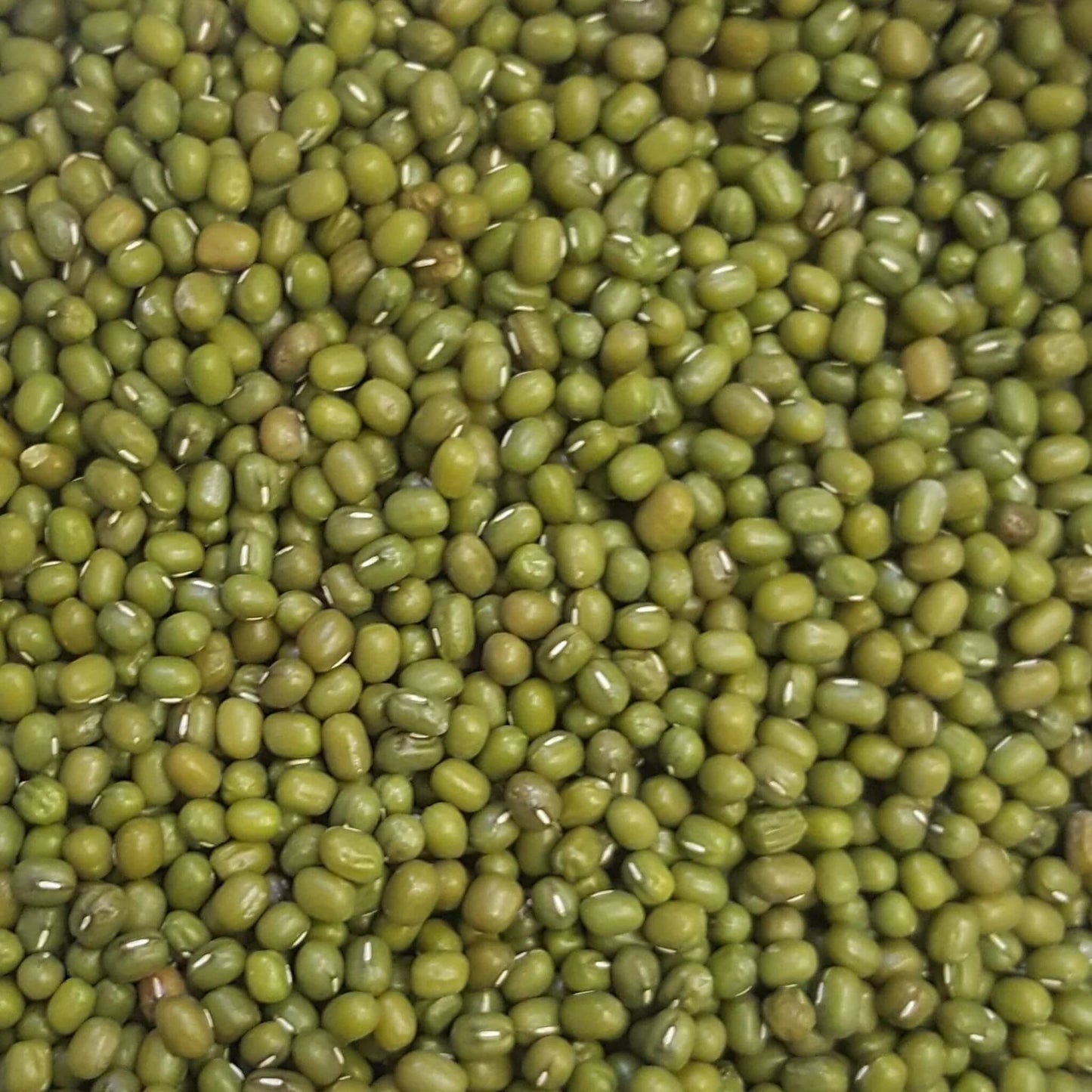 MUNG BEANS 1kg