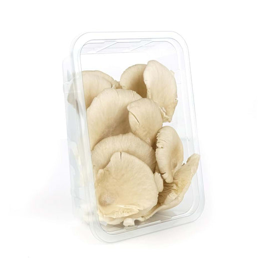 OYSTER MUSHROOM 1 PACK