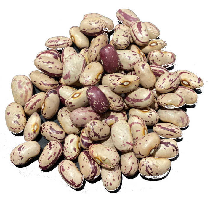 Borlotti/Cranberry BEANS 1KG