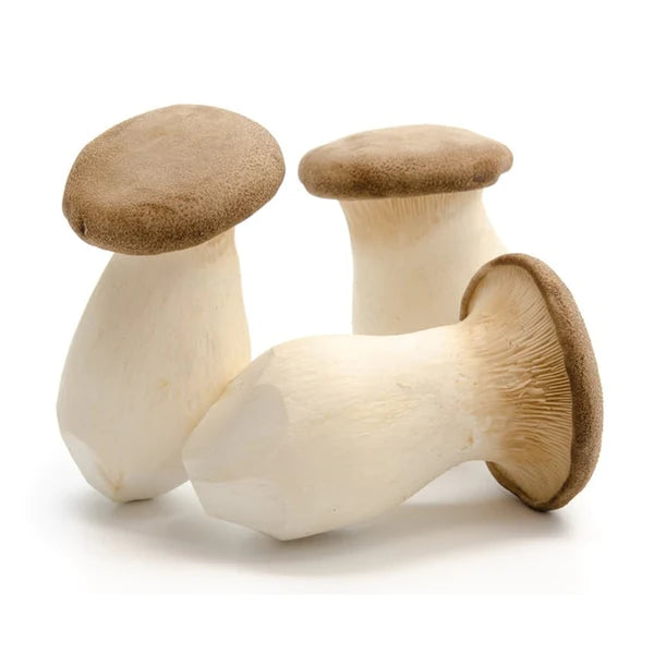 KING OYSTER MUSHROOM 1 PACK